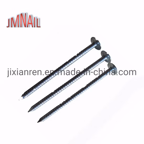 루핑 못/클라우트 못/큰 머리 못