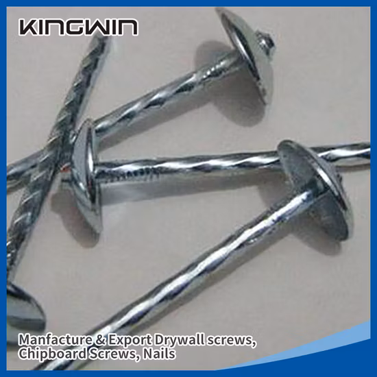 거니백 포장이 포함된 우산 머리 루핑 손톱