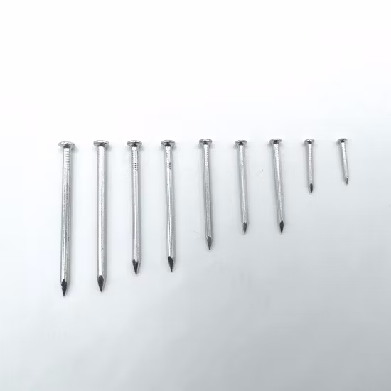 철/강철/시멘트 /Common/둥근 머리/후크/루핑/롤/촬영/못