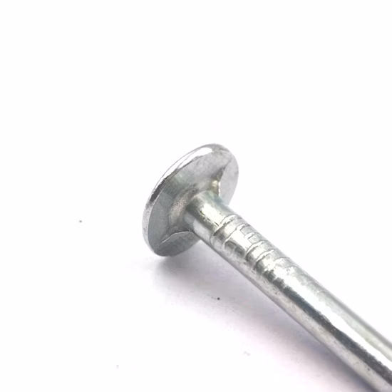 저렴한 가격 25mm X 3mm 플랫 헤드 루핑 손톱/루핑용 아연 도금 영향력 손톱/코일 루핑 손톱/컵퍼 손톱/철 손톱/아연 도금 손톱